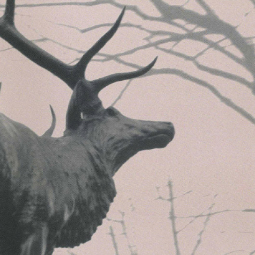 Agalloch Concerts in New York