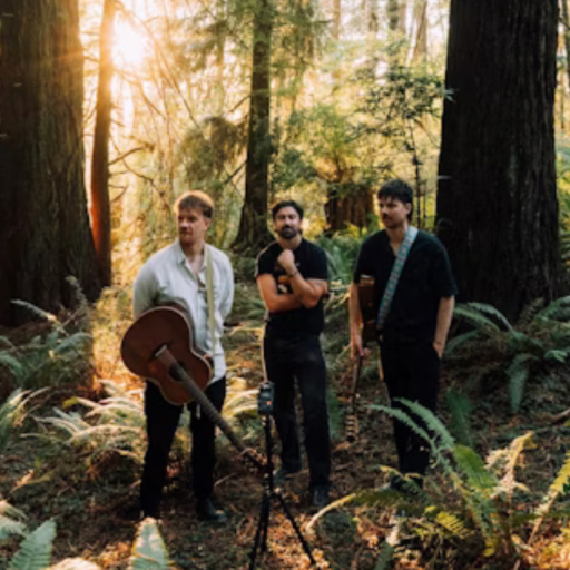 Amble Concerts in New York