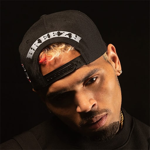 Chris Brown Concerts in New York