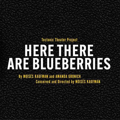 Here There Are Blueberries New York Tickets