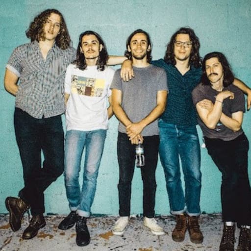 Post Animal Concerts in New York