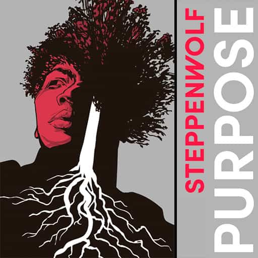 Purpose - Play New York Tickets