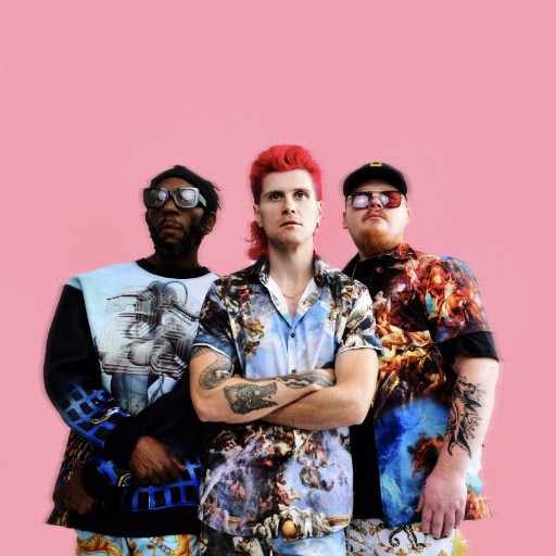 Too Many Zooz Concerts in New York